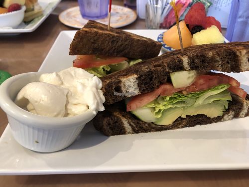 Vegan “Avocado & CLT” (cucumber, lettuce, tomato) Sandwich w/ Vegan Mayo on the Side at Jane's Cafe on 3rd in Naples