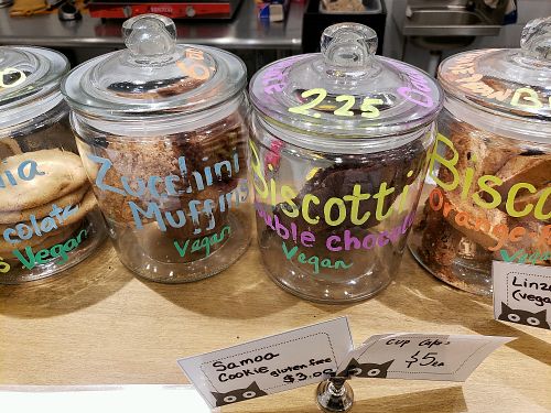 Vegan Biscotti at Catsbury Park in Asbury Park