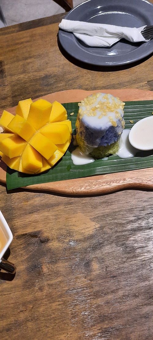  at Little Turtle in Enmore