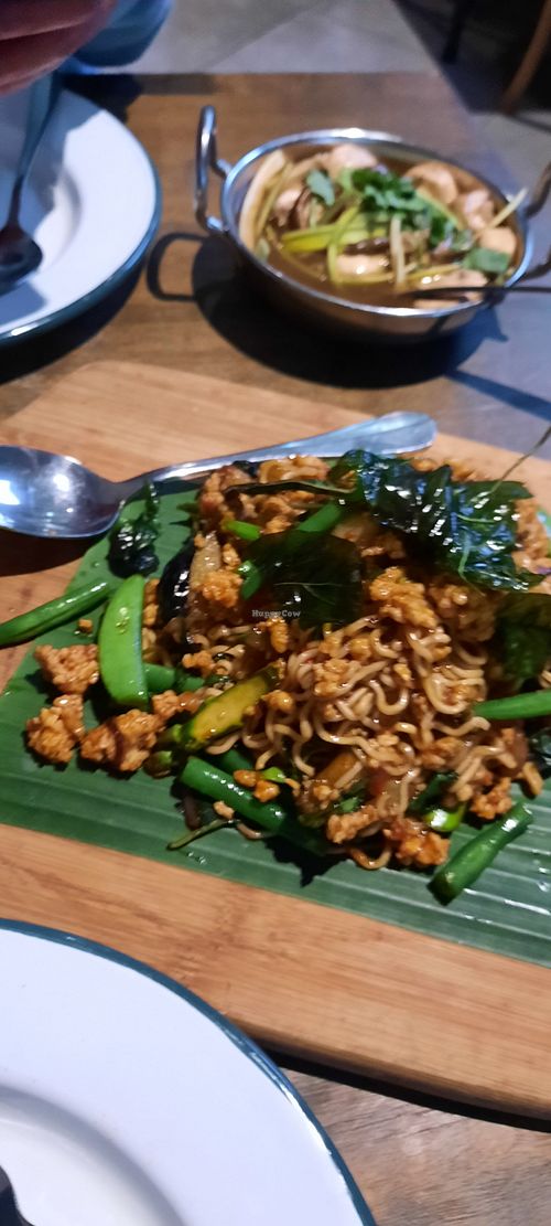  at Little Turtle in Enmore