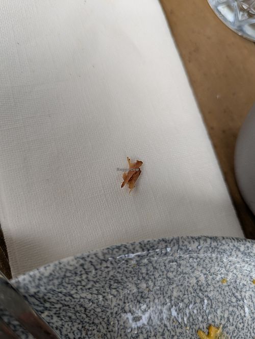 Meat in the vegan gravy at The Cuckoo in Peterborough