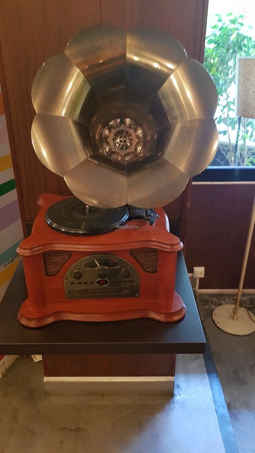 Gramaphone at Luna's Kitchen in Beirut