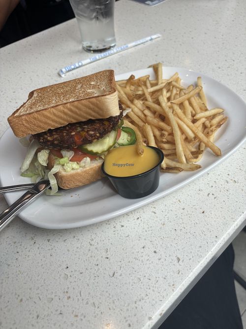 Honey mustard sauce pictured isn’t vegan, obviously.   at MIA - The Counter - TD in Miami