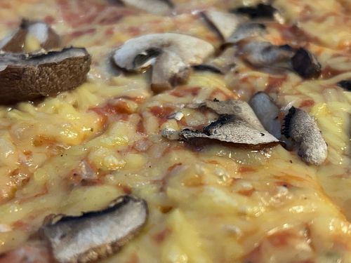 VG mushroom pizza  at Newcastle Tap in Newcastle Upon Tyne