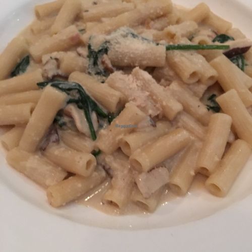 Vegan Pasta Alfredo  at Blossom Restaurant on Columbus in New York City