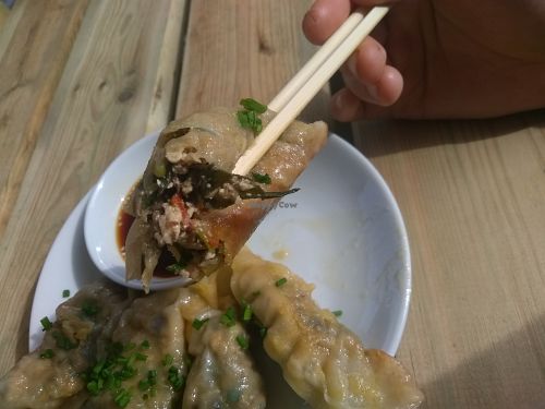 Gyozas at Waku Waku in Utrecht