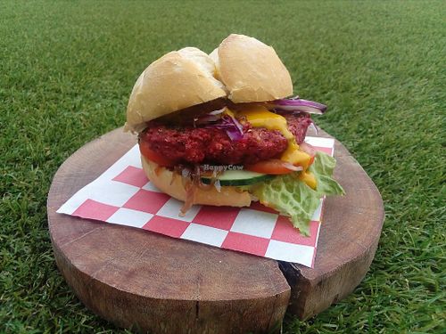 II at El Calamar Bravo in Playa Del Carmen