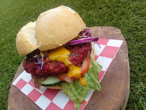 Beetroot torta at El Calamar Bravo in Playa Del Carmen