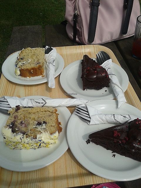 Vegan chocolate cake and blueberry loaf at Hive Coffee Company in Jarrow
