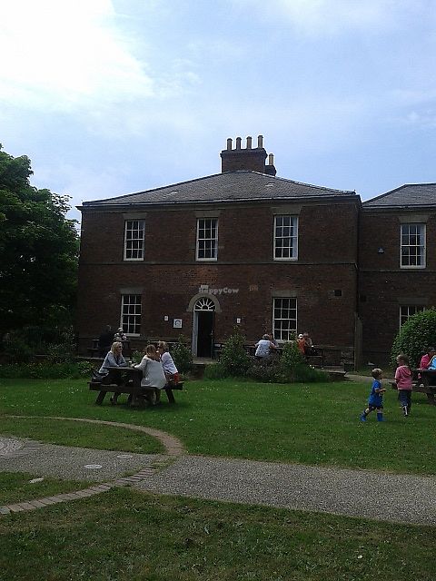 View of Hive Coffee Company from the outside seating area at Hive Coffee Company in Jarrow