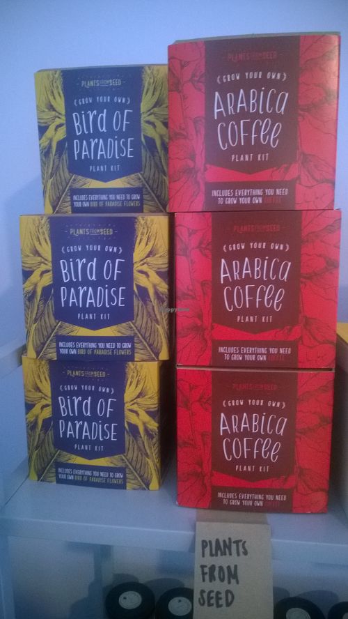 Grow your own kits at Hive Coffee Company in Jarrow