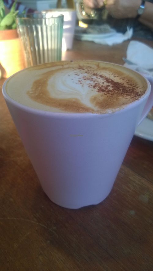 Gingerbread latte at Hive Coffee Company in Jarrow