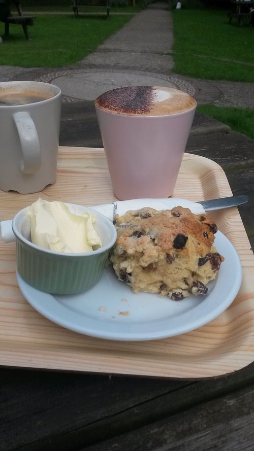 Fruit scone and vegan spread  at Hive Coffee Company in Jarrow