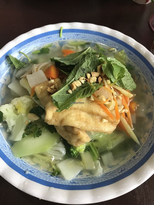 Ginger Pho at Hanh Phuc - Vegetarian Restaurant in Surry Hills