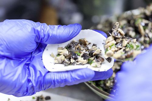 Vegetarian Dim Sum Assortment at Boa-Bao in Lisbon