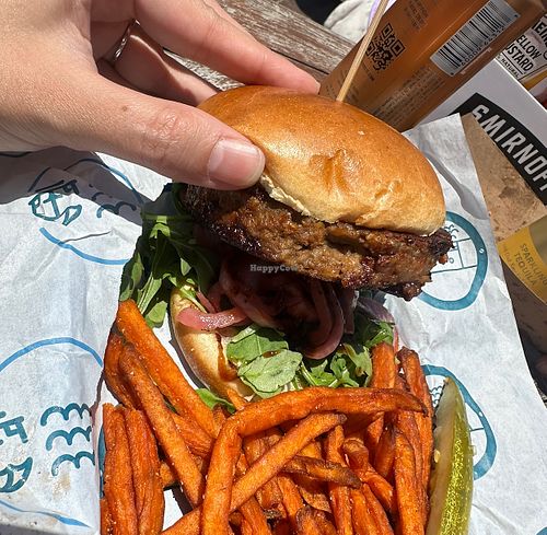   at The Dock in Chicago