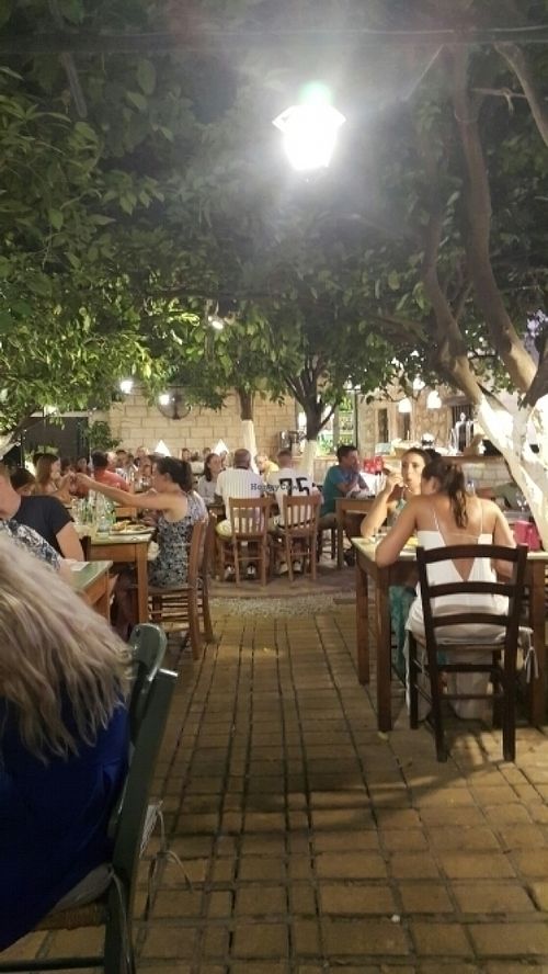 the back yard under the lemon trees  at Lemonokipos in Rethimno