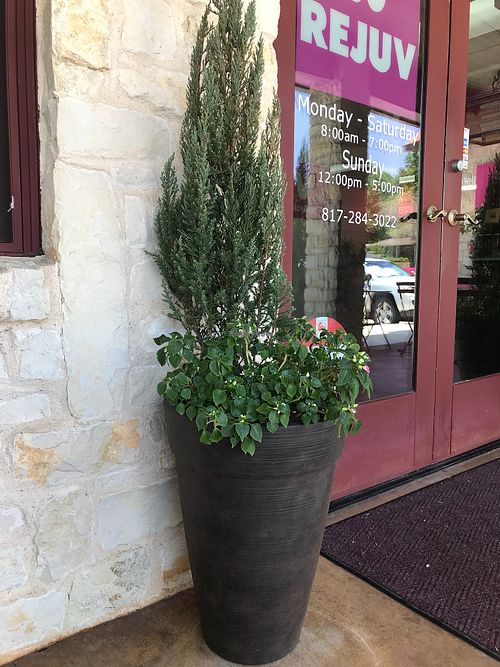 Front door and business hours at Rejuv Juice in Hurst
