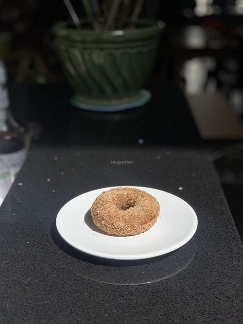 Vegan apple cider donuts. Better than Carter mountain at Verde in Hopewell