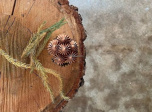 Chocolate cupcake (vegan) at Verde in Hopewell