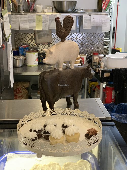 Minis at 96 Lives Vegan Bakery and Cafe in Lancaster