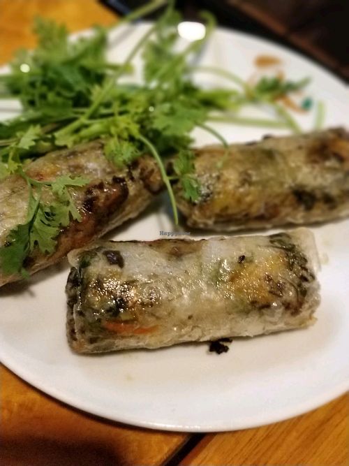 delicious spring rolls full of goodies. not just noodle at Tam An Lac - Hoan Kiem in Hanoi