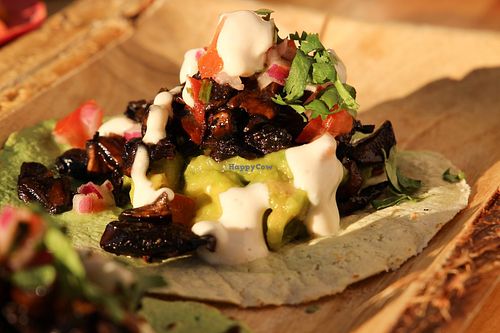 Taco at Amarre 69 in Barcelona