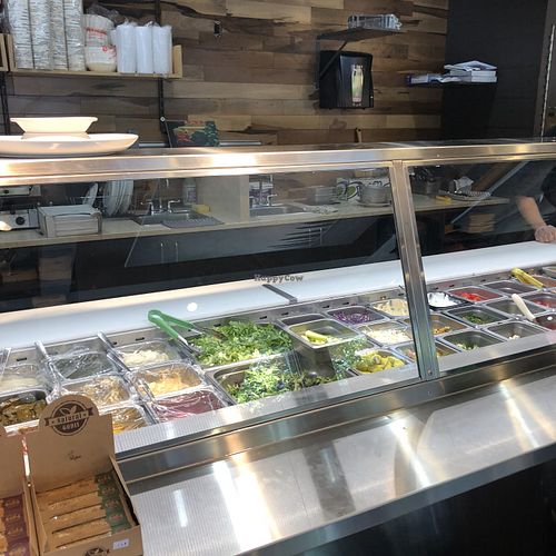 Sham at Juste Falafel in Montreal