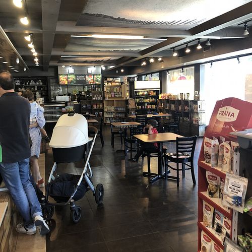 Sham at Juste Falafel in Montreal