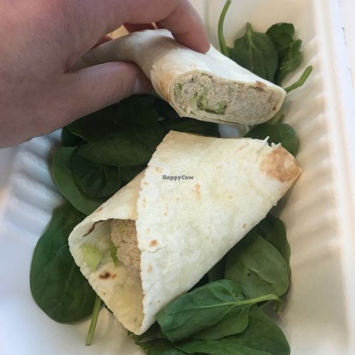 “Tuna” wrap at Earth Candy in Rockland