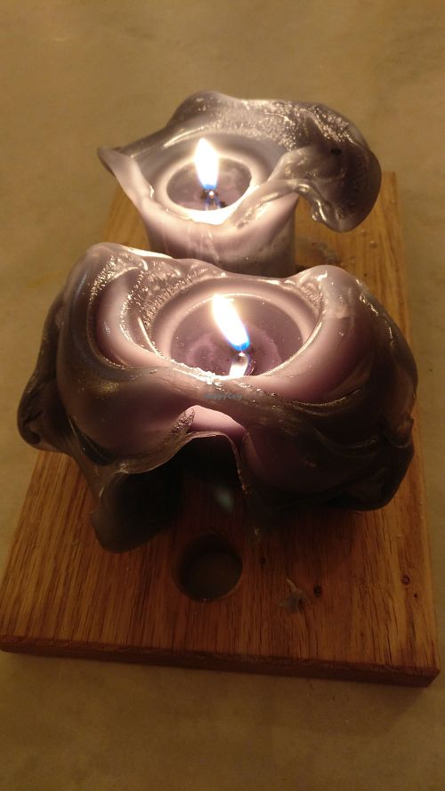 Like this place at SOIL Vegan Cafe - West in Amsterdam