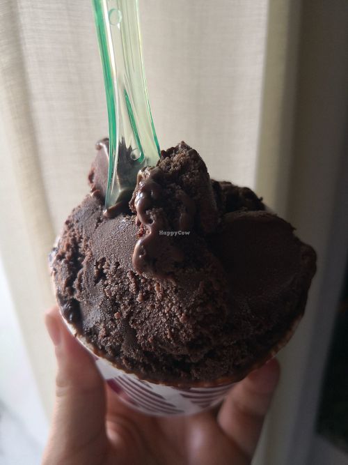 Xeado de chocolate vegano at Alento Doces Xeados in Ourense