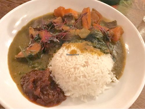 Vegan sweet potato curry  at The Pilot Boat in Lyme Regis