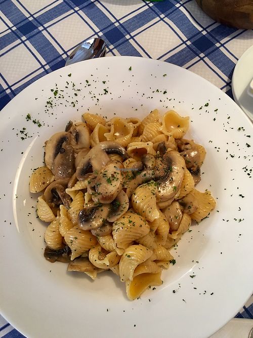  Creamy mushroom pasta (this one is vegetarian not vegan)  at Cevicheria Trattoria Donde Wippy in Cartagena