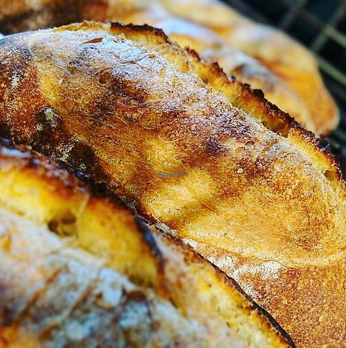 batard at Bantam Bread Co in Litchfield