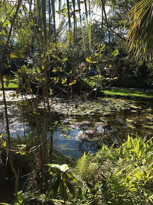Lily pond next to the terrace. at Sealantro in Vero Beach