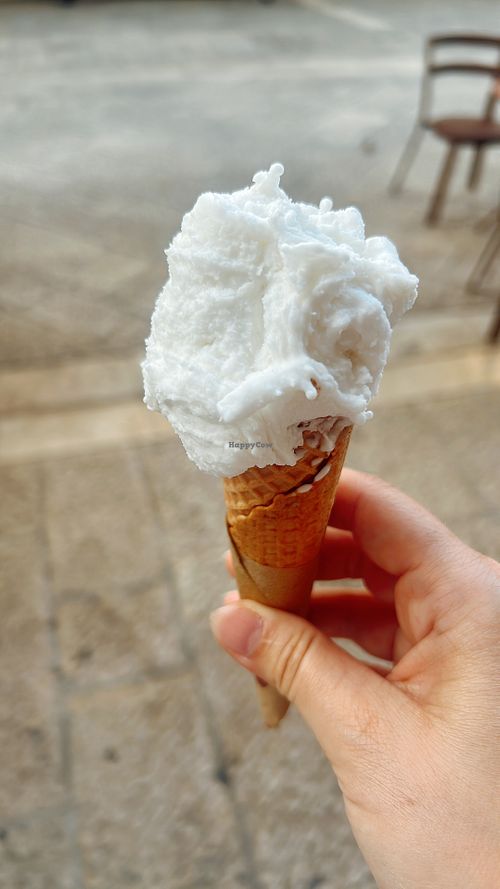 vegan coconut ice cream  at I Vizi Degli Angeli in Matera