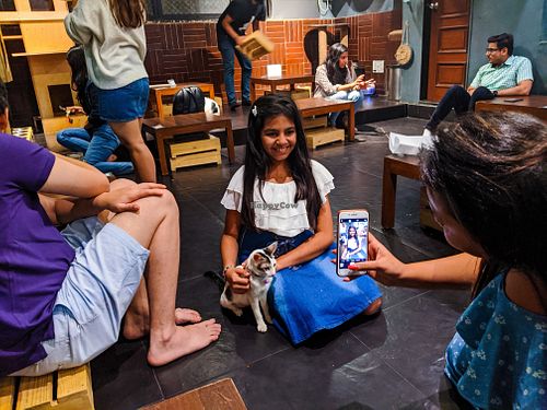 Posing with a favorite cat at Cat Cafe Studio at Cat Cafe Studio in Mumbai