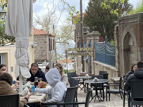   at Tropicana Platanos in Lesvos