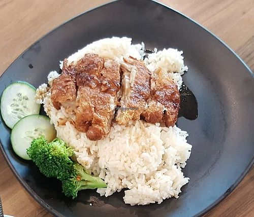 Chicken rice. $4.50. at Green Age 善提素 in West Singapore