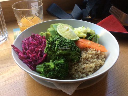 The cold Buddha bowl! at Veganspek in Zagreb