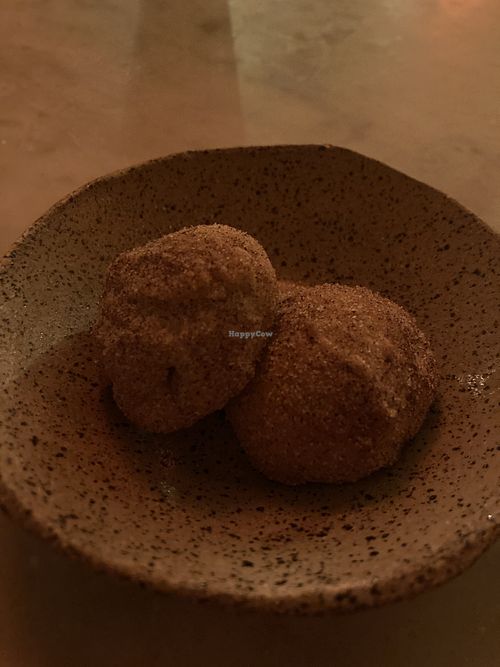 Complimentary vegan cookies!  at Otro Cinco in Syracuse