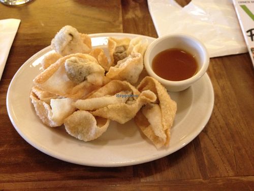 delicious fried wontons at Padmanadi in Edmonton