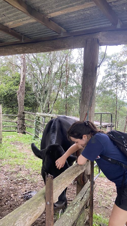   at Farm Animal Rescue in Dayboro