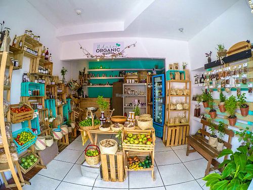 Welcome to Ndaroo! at Ndaroo Organic in Oaxaca