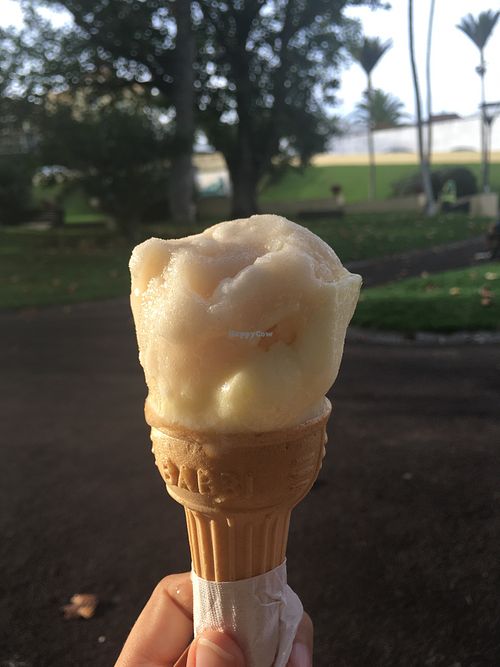 Vegan cone and sorbets in the park at La Gelateria in Sao Miguel