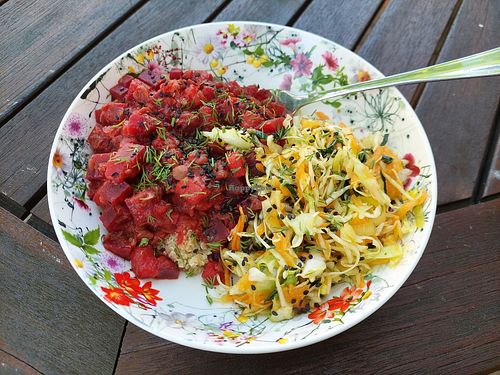 Lunch (stew 6euro) at Gildi Toidukoda Metsikud Maitsed in Parnu