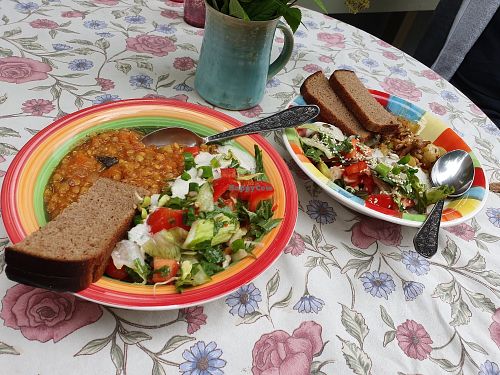 Vegan dishes of the day at Gildi Toidukoda Metsikud Maitsed in Parnu