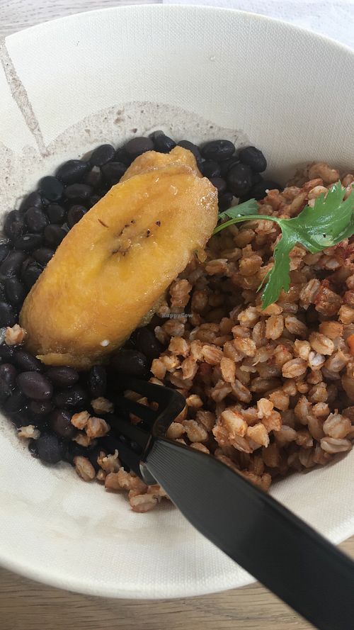 “Veganized” Cuban hipster bowl at American Harvest Co in Miami