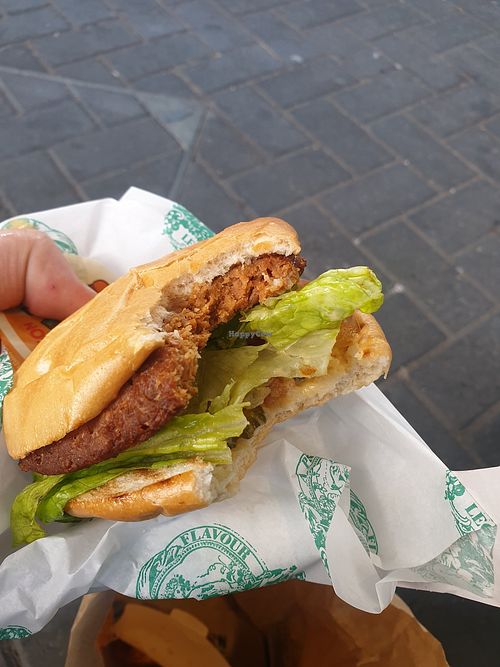 LEON - Bridge Station